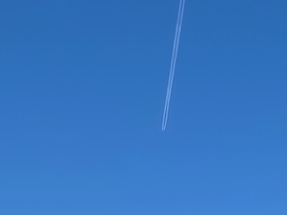 運動会全体練習