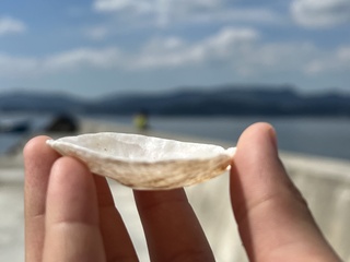 いざ海へ（志津川４）