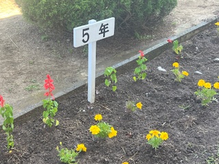 花壇にも